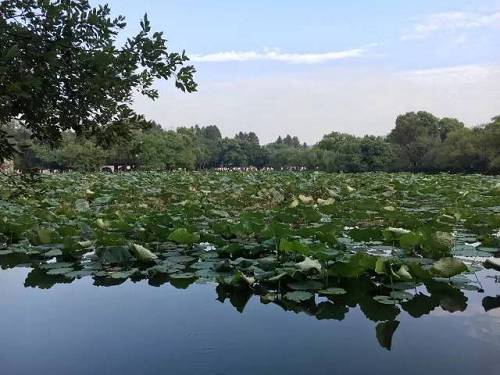 这是我在比特币BSV学习群的一次讲座。